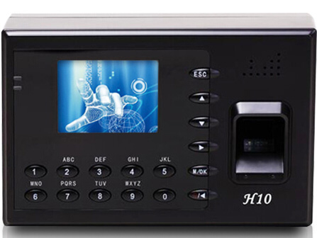 开云体育娱乐产品展示八