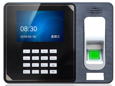 开云体育娱乐产品展示一